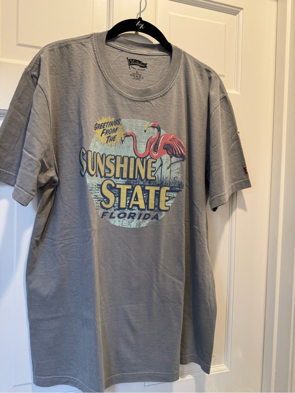 Sunshine State Florida Graphic Tee - Gray